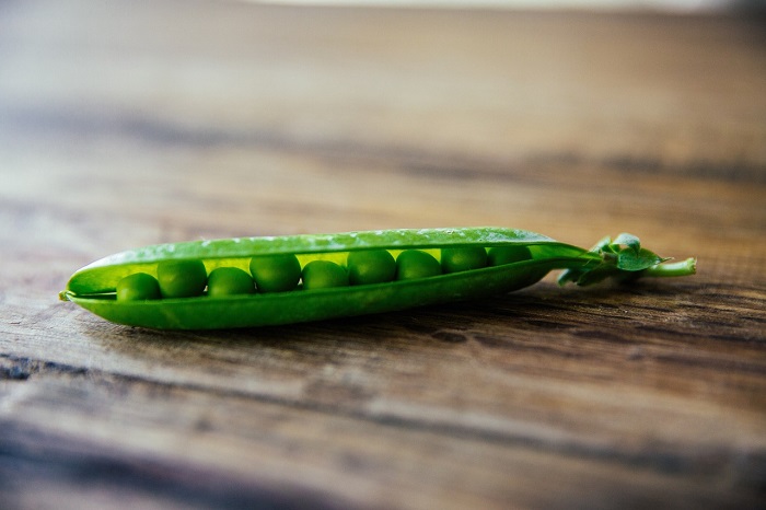 Pati kacang polong, bahan penting dalam pangan dan industri, kini jadi pusat sengketa dagang Tiongkok-Kanada. (Pixabay.com/suezl99)