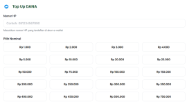 TopUpSaldo bisa dipertimbangkan saat kamu ingin mengisi DANA dengan alur pembelian melalui situs. (Dok. Topupsaldo.com )